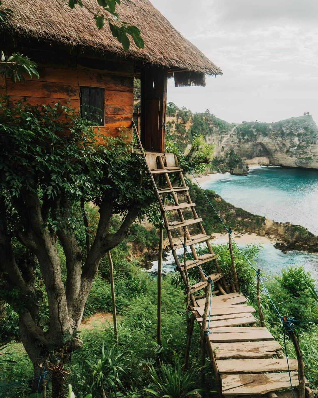 Discoveryさんのインスタグラム写真 - (DiscoveryInstagram)「This tree house near the sea on Nusa Penida Island, in Indonesia is giving us that #FridayFeeling.   Photo: Oleh Slobodeniuk/Getty  #Indonesia #vacationmode #nusapenidaisland #islandvibes #landscapephotography #oceanview #treehouse #tinyhouse」7月25日 0時14分 - discovery