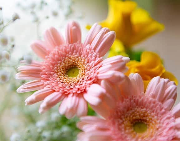 のインスタグラム：「💐」