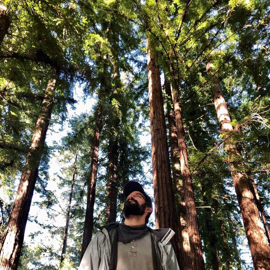 ブラント・ドーハティのインスタグラム：「Lumberbrant」