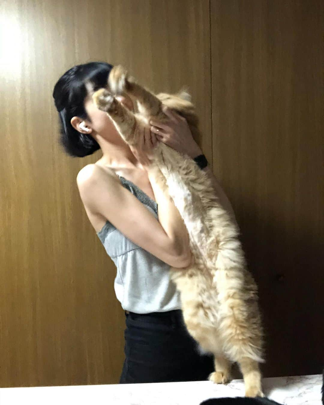 橘モニカさんのインスタグラム写真 - (橘モニカInstagram)「I’m happy to be back home but I miss my babies 😢 (He’s so long... haha) 実家に帰って嬉しいけど、ベイビー達に会いたい😢 (長すぎ… 笑) . . . . . . #missyou #mybaby #baby #pumpkin #cute #cat #style #fashion #model #会いたい #ベイビー #可愛い #猫 #パンプキン #スタイル #ファッション #モデル #보고싶다 #우리애기 #귀여워 #귀여운 #고양이 #호박이 #스타일 #패션 #모델 #일상」7月24日 16時19分 - monikatachibana