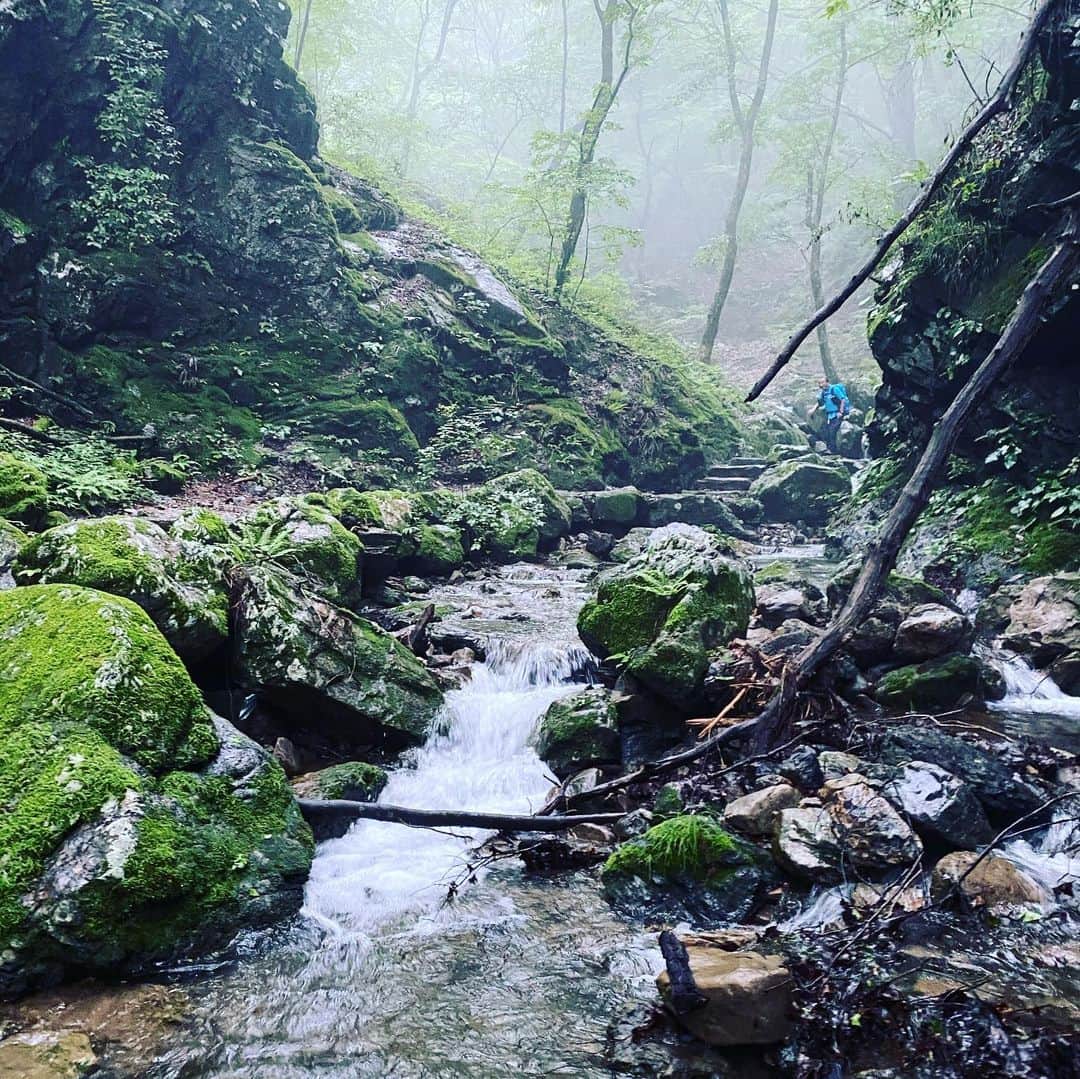 林千晶さんのインスタグラム写真 - (林千晶Instagram)「御岳山に挑戦。 天気が曇っていて、雨は降らないけど、湿度90%以上という感じ。水の中を何時間も歩いていたような不思議な気分。」7月24日 16時40分 - chiaki_0808