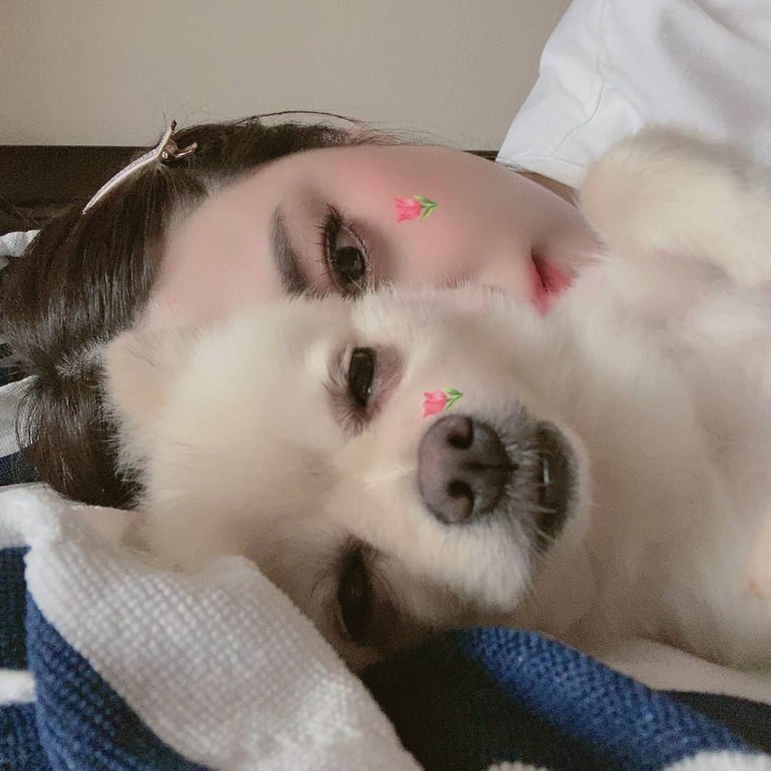 飛鳥凛のインスタグラム：「１日の終わり眠る前に今日あった幸せな事を３つ書くようにしてから、マイナスな気持ちがどこかに飛んでって感謝する気持ちが増えて毎日幸せな気持ちで眠れるようになった！！  っていっても、前からね イブちゃんと出会って一緒に毎日眠れるだけで最高に幸せなんだけど❤️」