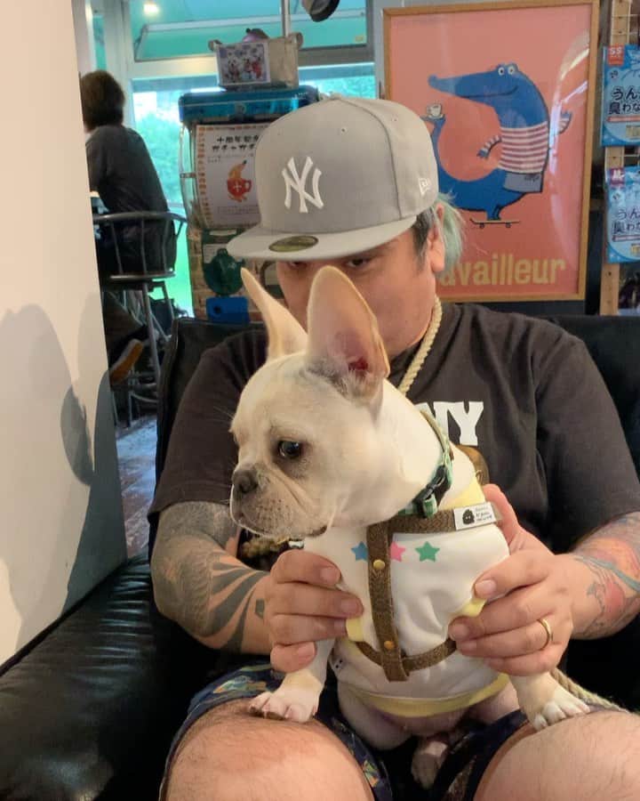 のインスタグラム：「今日は、2つ初体験してきました🐕  DOG CAFEとDOG RUN  いっぱいの刺激に めっちゃ興奮した時間やった🤘  #フレンチブルドッグ  #frenchbulldog  #frencbulldoglife  #dogcafe #dogrun」