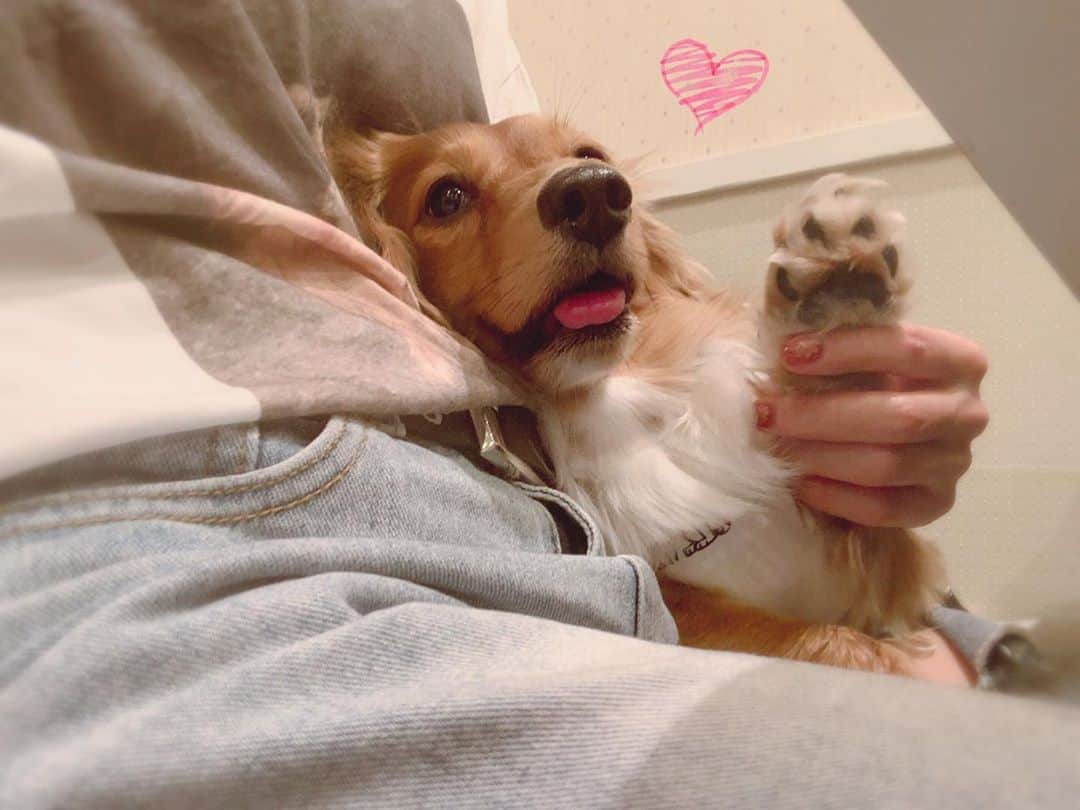 井坂仁美のインスタグラム