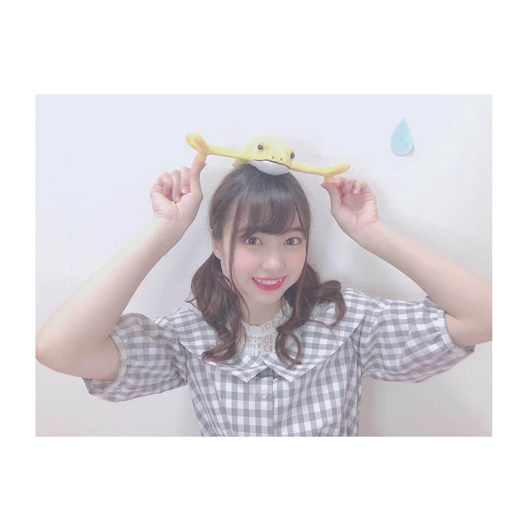 のインスタグラム：「🐸 * うちのえるかちゃんです😌 はやく梅雨明けないかなぁ☁️☁️ * #pyonstagram  #AKB48 #チーム8 #チームK #富山 #はるpyon #橋本陽菜 #圧倒的橋本陽菜 #橋本陽菜を広める」