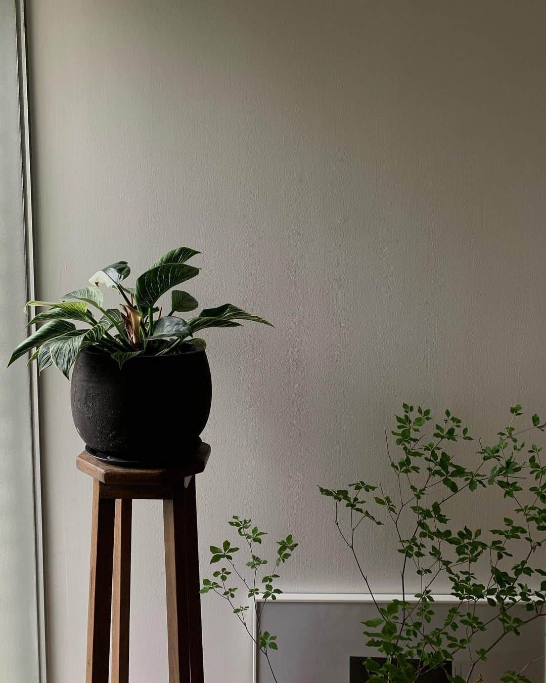 のインスタグラム：「静かに過ごす４連休  自分のリズムを取り戻す時間🌱  ここ数日。 様々なことが起きたことで。色々と考えてしまって。ちょっぴり元気がなくなっちゃって🥺  大地に足がついていなかったから。  1日を大切に生きる意識🕊 取り戻そうと思って。 ゆっくり過ごしています☺️🙏🏻  皆様も良い週末を🕊」