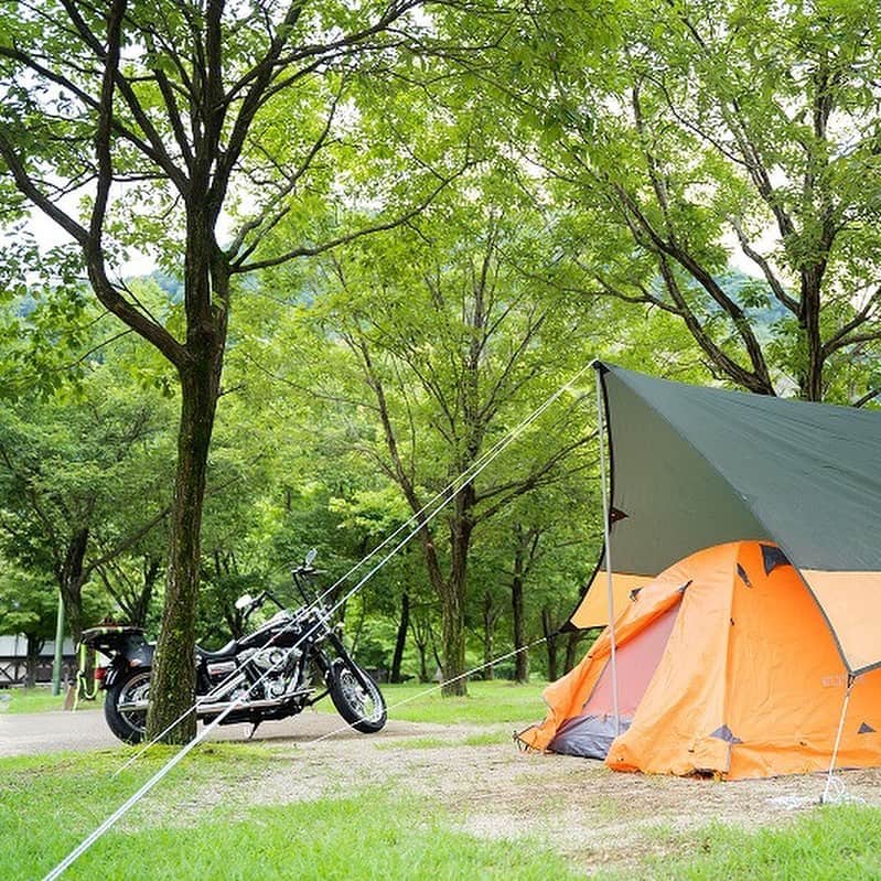 キャンプ情報サイト［ランタン］さんのインスタグラム写真 - (キャンプ情報サイト［ランタン］Instagram)「CAMP SMILE STYLE ／ ハーレーに乗って気ままな一人旅 贅沢な時間を過ごせるソロキャンプ ＼ いろんなキャンパーのキャンプスタイルを現地取材と一般キャンパーからの投稿で数多く掲載してます。 . . 詳しくは @lantern.camp webサイトをご覧ください . . #camp #camping #outdoor #travel #trip #lantern_smile #nature #キャンプ #キャンプ用品 #アウトドア #テント #自然 #旅行 #キャンプ初心者  #キャンプ好きな人と繋がりたい #camper #外遊び #ソロキャン #ソロキャンプ #Lantern #ランタン #ハーレー #ファミキャン #ハーレーダビッドソン #ツーリングキャンプ #バイク #Harley-Davidson #キャンプ酒 #青川峡キャンピングパーク #バイクキャンプ」7月24日 17時41分 - lantern.camp