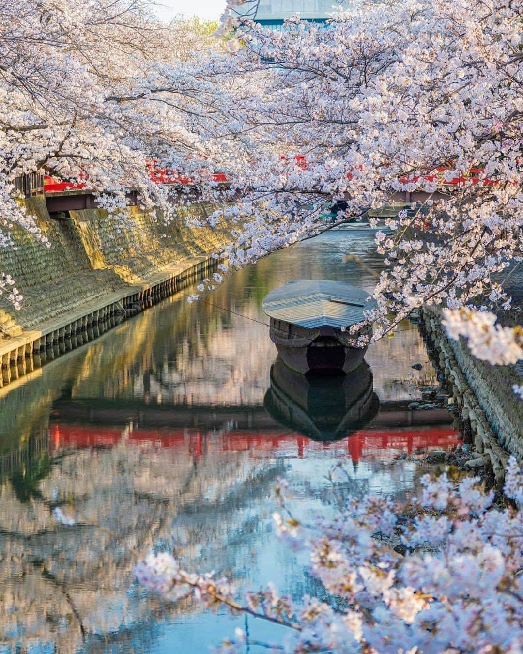 エイチ・アイ・エスのグルメインスタ