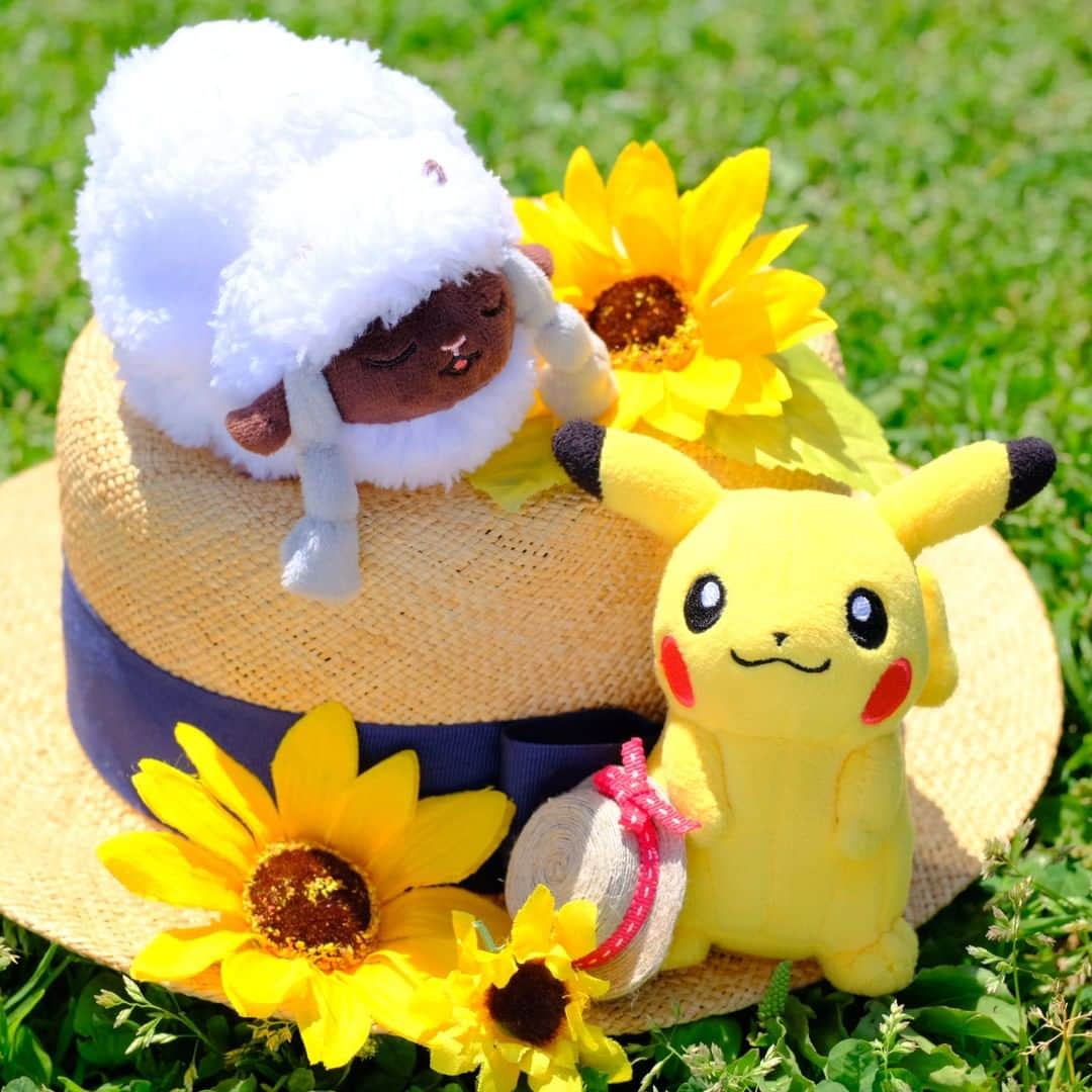 のインスタグラム：「【今日のピカチュウ】 ウールーとのんびりピクニック☀ 大きな麦わら帽子を見つけたよ👒🌻 #pikachu #wooloo #pokemon #pikachu_snap #photooftheday #picnic #sunflower #strawhat #ピカチュウ #ウールー #ポケモン #ピクニック #ひまわり #麦わら帽子」