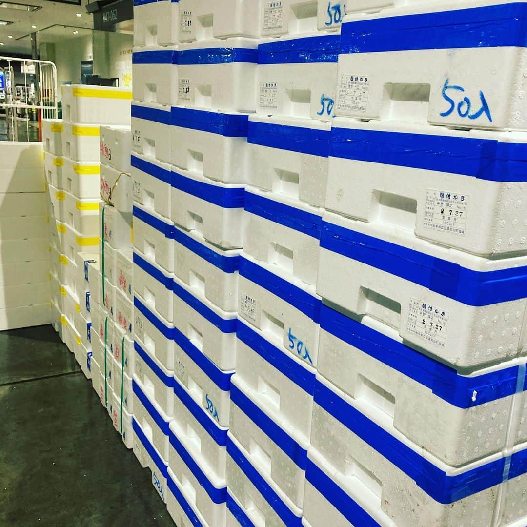 のインスタグラム：「祝日ですが市場は通常通りやっていましたので本日も鮮魚買い揃えました  青いテープの発泡は広田の牡蠣です。こんな感じで茶屋と呼ばれる所に運ばれここから僕たちが50店舗各店に振り分けています  今日の銚子の鰯もコロッコロってしていい感じ！ ジトっとして過ごしにくい天気ですが魚金で美味しいものいっぱい食べて元気になって欲しいです！ 今日は鱈腹魚金で百獣のステーキ食べましたがやはりボリューム！コスパ半端ない。是非食べに来てください  仕入部　片之坂 #フェス#新橋#肉じゃが#居酒屋#銀座#京橋#さんま#海鮮丼#刺身#吉祥寺#オイスター#池袋#リゾット#鶴屋町#刺身盛り合わせ#パエリア#渋谷#魚好きと繋がりたい #レモンサワー#ウニ#神楽坂#横浜グルメ#飲酒タグラム #野菜たっぷり#日本酒好きな人と繋がりたい #どんぶり#うなぎ#ステーキ#金目鯛 #yummy」