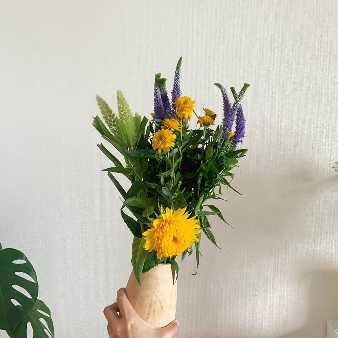 わちみなみのインスタグラム：「ファンクラブ﻿ みてくれてる？﻿ ﻿ お花💐﻿ ﻿ #わちみどり﻿ #花　#野草感」