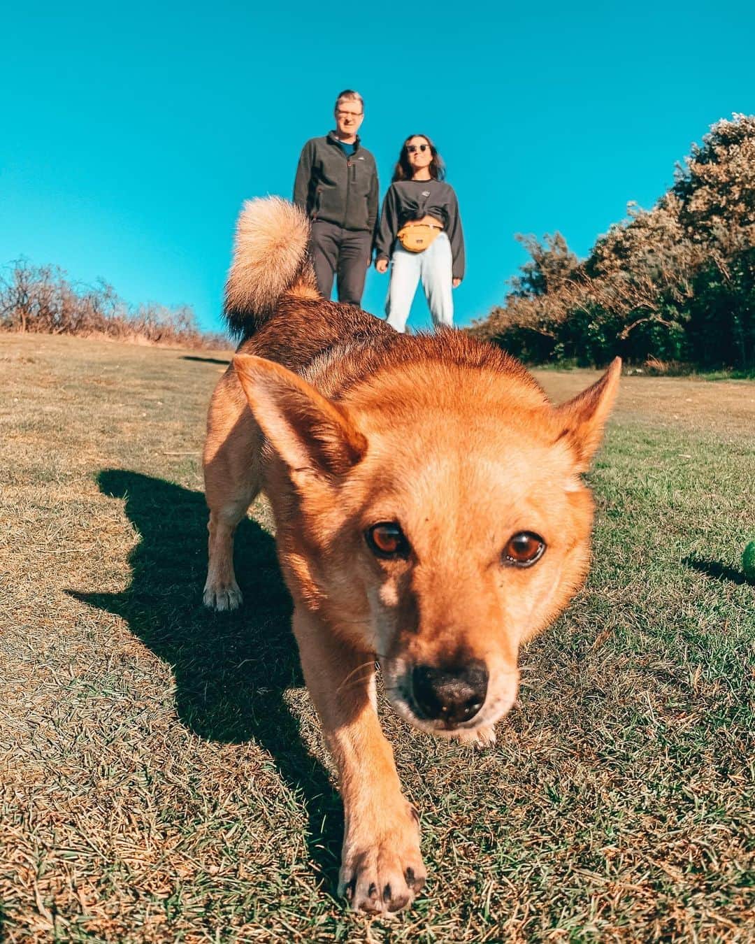 リン・ハッチソンのインスタグラム：「Roo just wanted me to jump on here and thank all his fans for the lovely messages complimenting how handsome he is. He says he’s sorry he can’t reply to all of them but he reads every single message. xoxox」