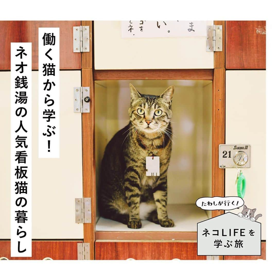 RE住むRENOVATIONのインスタグラム