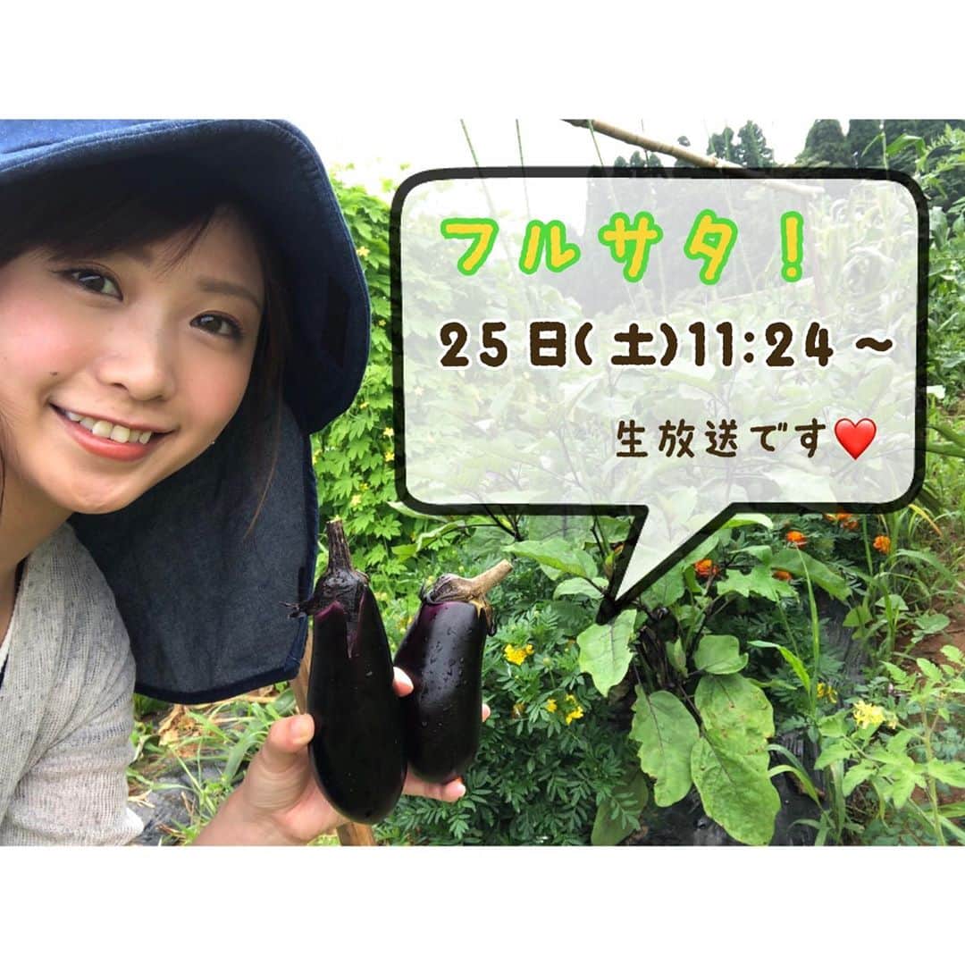 南條早紀のインスタグラム：「うちのお野菜が…🍆❤️ . あすのフルサタ！ 吉村アナ不在のため、なんと！ 南砺市出身の俳優で料理男子の 池田航くんがMCに初挑戦してくれます✨✨ . さらに！調理コーナーでは、航くんが #さきベジGarden の野菜をはじめ 夏野菜をふんだんに使ったお料理を 生調理で披露してくれます❤️ （きょうも収穫しました〜♪） …た、楽しみ…‼️🍆🥒🍅 . . さらにさらに、特集は 大食い美女YouTuber三宅智子さんが 富山を食べ尽くす大食い企画❤️ . 大人気コーナークマップも、 寿司券プレゼントのいただきMAXもあって もりもり盛りだくさんの1時間半となっております♪ . . あしたも、どうぞご覧くださいね😊💓 . . #富山 #富山県 #toyama #富山テレビ #BBT #フルサタ #生放送 #池田航 くん #挑戦 #MCデビュー #料理 #楽しみ #ドキドキ #夏野菜 #ナス #家庭菜園 #家庭菜園初心者 #収穫 #とりたて野菜  #特集 #大食い #美女 #三宅智子 さん #クマップ #いただきMAX #寿司券 #プレゼント #アナウンサー #南條早紀」