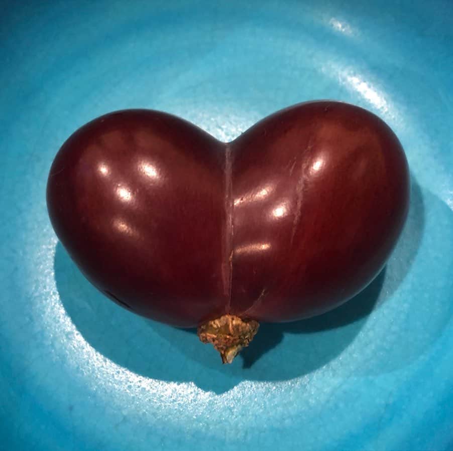 南早苗のインスタグラム：「赤い宝石🍇 今月上旬に今季の初競りが行われた 石川県産の高級ぶどう「ルビーロマン」 一房130万円のご祝儀相場に驚きましたね😍  なんとそのルビーロマンの双子ちゃんが！！ ハート型💓  甘くて、香りが良くて、鮮やかな紫色、ハリツヤ✨💯  #ルビーロマン　#ぶどう　#かほく市  #高松ぶどう　#赤い宝石　#旬の味覚 #JA全農いしかわ　#JA石川かほく  #たべすたぐらむ」