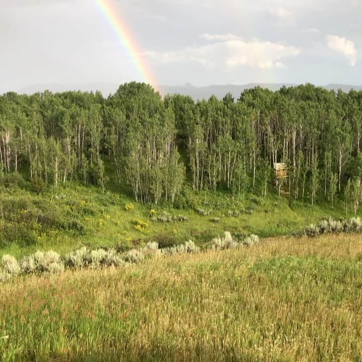 エリック・クリスチャン・オルセンのインスタグラム：「Double rainbow all the way. Covid can't hold mama nature down! #grandtetons #everyoneiswelcome 🌈」