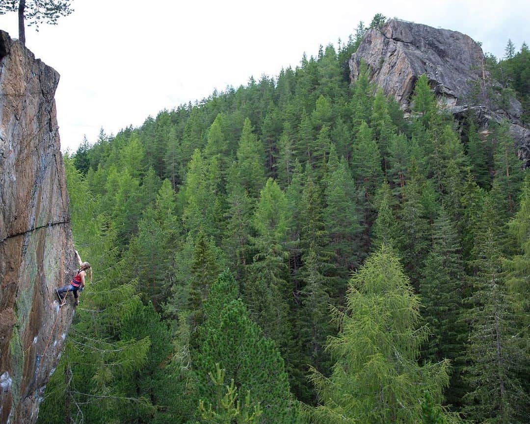 ジェシカ・ピルツさんのインスタグラム写真 - (ジェシカ・ピルツInstagram)「One of my favorite places 🌲🧗‍♀️ #rockclimbing #happyplace #nature Pic @wilhelmheiko」7月25日 1時11分 - jessy_pilz