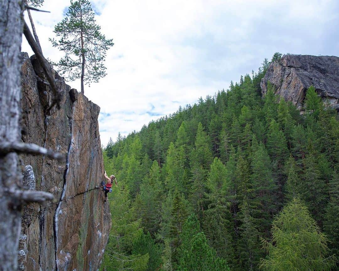 ジェシカ・ピルツさんのインスタグラム写真 - (ジェシカ・ピルツInstagram)「One of my favorite places 🌲🧗‍♀️ #rockclimbing #happyplace #nature Pic @wilhelmheiko」7月25日 1時11分 - jessy_pilz