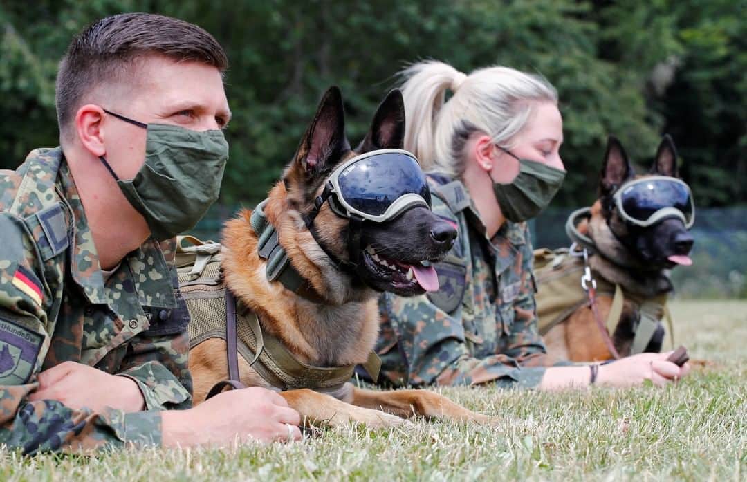 NBC Newsさんのインスタグラム写真 - (NBC NewsInstagram)「German shepherds and their trainers rest in the grass during an exercise for sniffing dogs of the German Army. The dogs wear protection goggles against the sun and dust and are trained to sniff out COVID-19.⁠ ⁠ 📷 Wolfgang Rattay / @reuters」7月25日 1時12分 - nbcnews