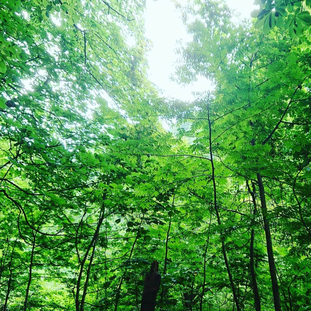 伊勢みずほさんのインスタグラム写真 - (伊勢みずほInstagram)「人生で二度目の苗名滝。  轟く滝音と霧のような水しぶき。 自然の癒し力は物凄いですね。  日本の滝100選  苗名滝✨  毎年 来たいねって話しました。  #苗名滝 #妙高高原 #杉野沢 #日本の滝百選 #トレッキング #滝 #自然 #県境 #緑 #霧 #癒し #リフレッシュ #リラックス #新潟県 #naturephotography #naturelovers #nature #naenafalls #fall  #想い出の滝 #伊勢みずほ #ありがとう #ドライブ #楽しかった #☺️ #雨 #デート」7月24日 20時11分 - isemizuhoo