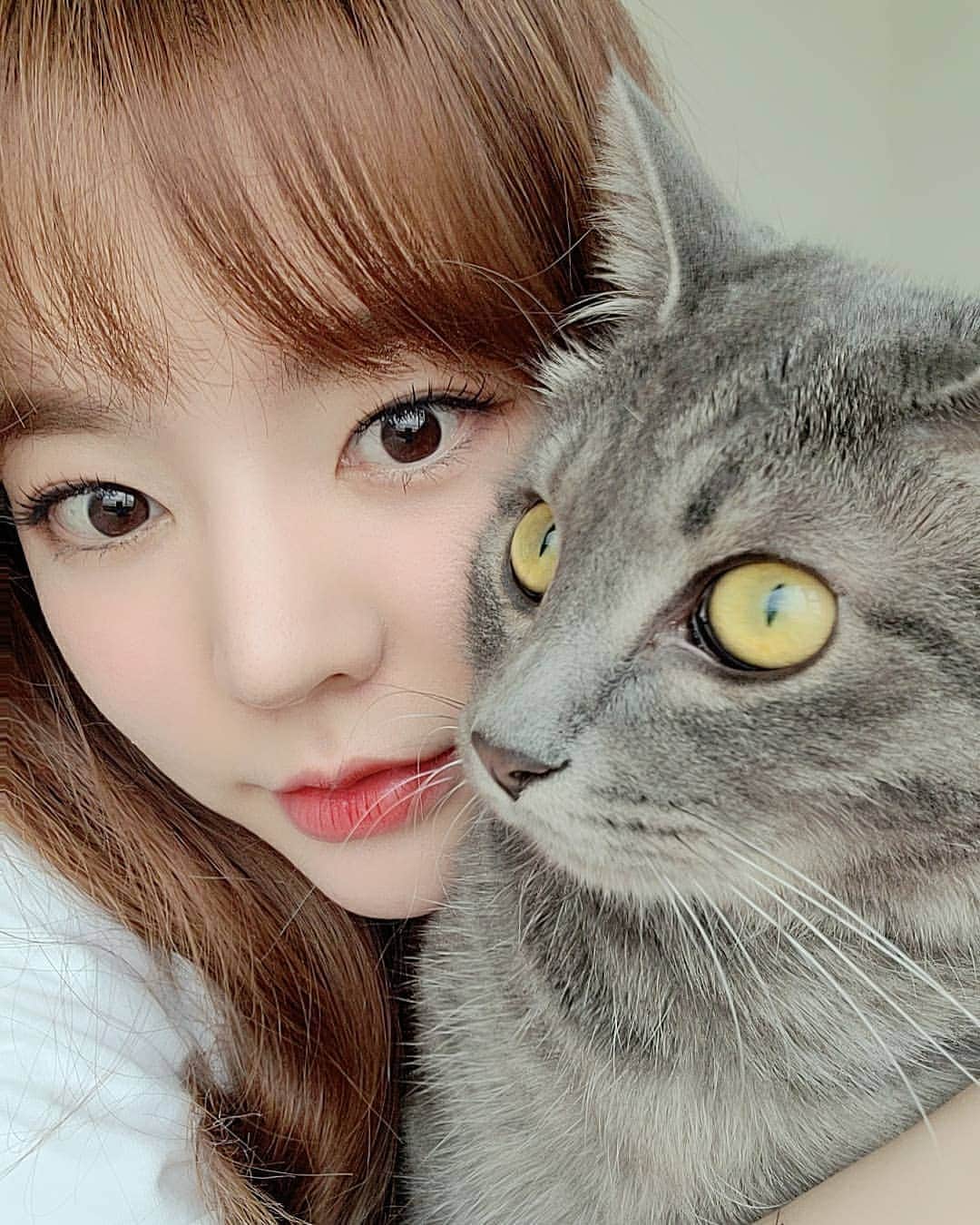 サニー のインスタグラム：「#후추 는 후츄츄츗」