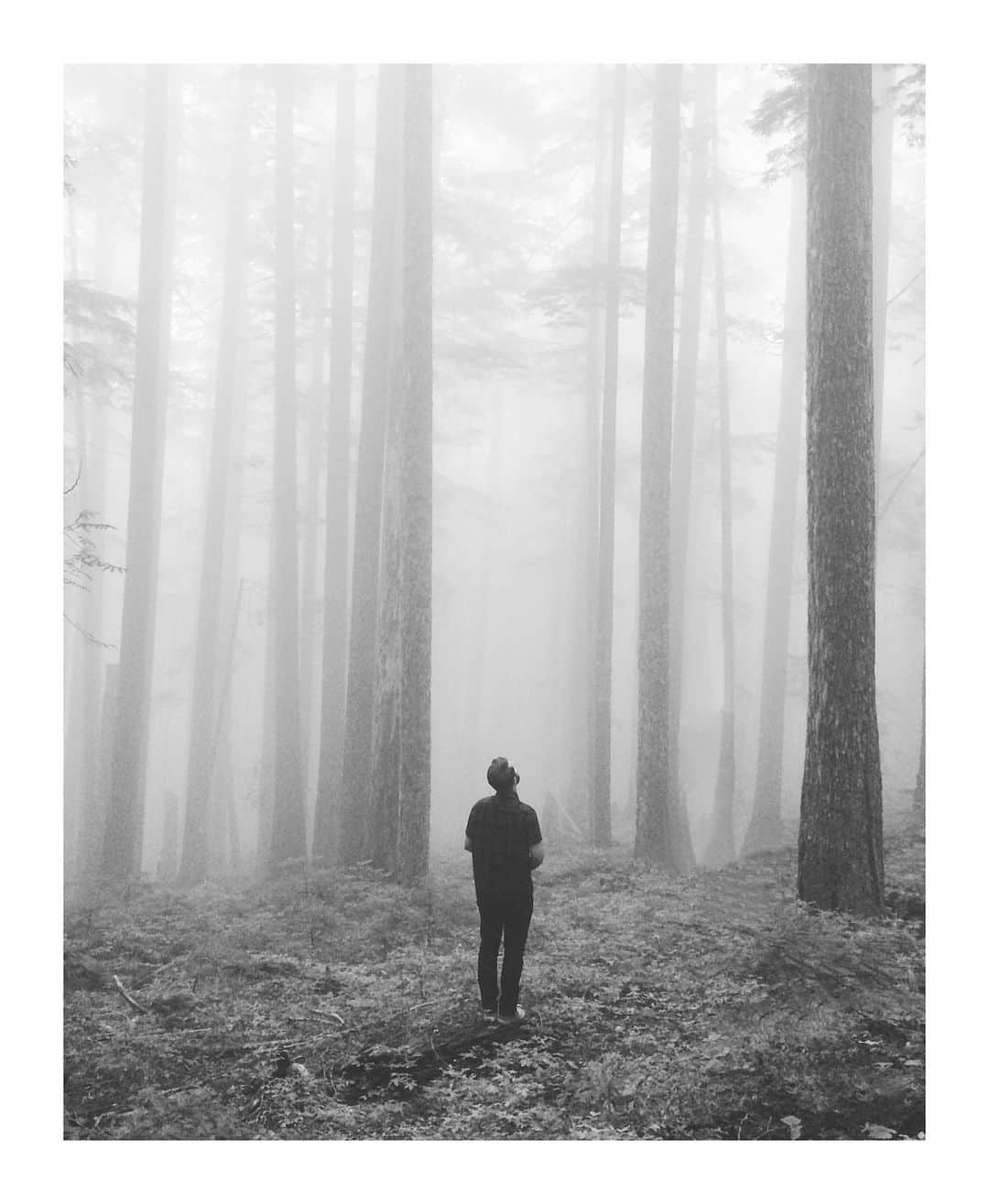 Cory Staudacherのインスタグラム：「folklore」