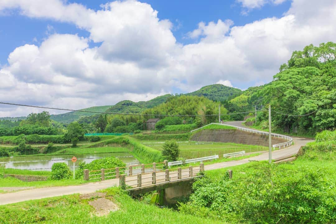 鹿児島よかもん再発見のインスタグラム：「薩摩川内市入来町の岩下の棚田へ(^-^)/  何もないと感じるか 何気ないことに幸せを感じるか  土地や風景を保って下さる方々に感謝して  #鹿児島 #鹿児島観光 #薩摩川内市 #薩摩川内市観光  #入来 #岩下の棚田 #夏の風景 #夏 #夏の田舎 #田舎 #鹿児島の自然 #鹿児島の風景 #japan #kagoshima #kagoshimaphotograph」