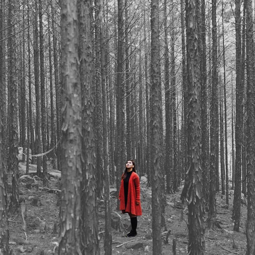 エアアジアのインスタグラム：「This is us trying not to miss traveling, but failed. It’s not a folklore when we say you can now paint the skies red again.  #flashbackfriday to some of our favorite out in the woods trips of our Allstars and friends around Asia.🌴❤️✈️  #AirAsia #Folklore」