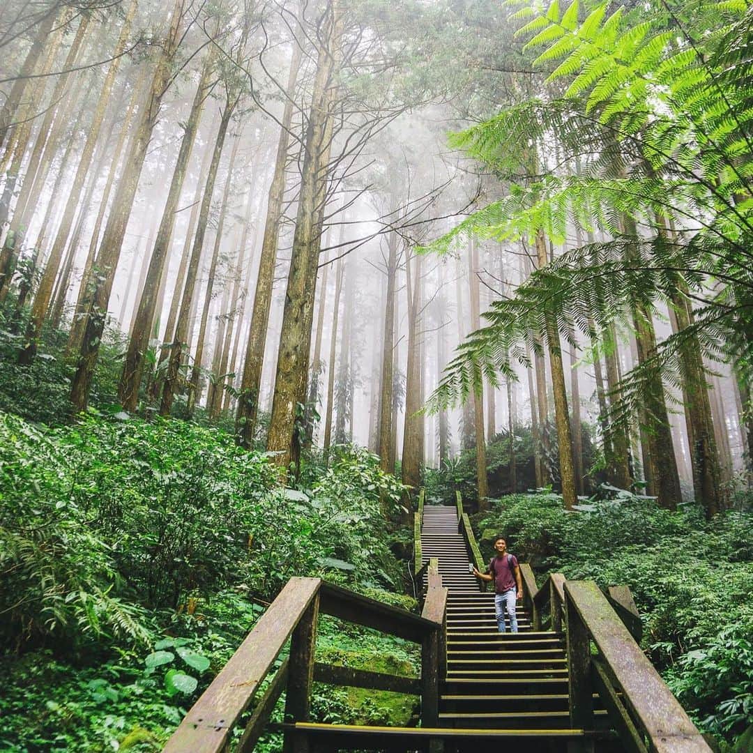 エアアジアさんのインスタグラム写真 - (エアアジアInstagram)「This is us trying not to miss traveling, but failed. It’s not a folklore when we say you can now paint the skies red again.  #flashbackfriday to some of our favorite out in the woods trips of our Allstars and friends around Asia.🌴❤️✈️  #AirAsia #Folklore」7月24日 21時41分 - airasiasuperapp