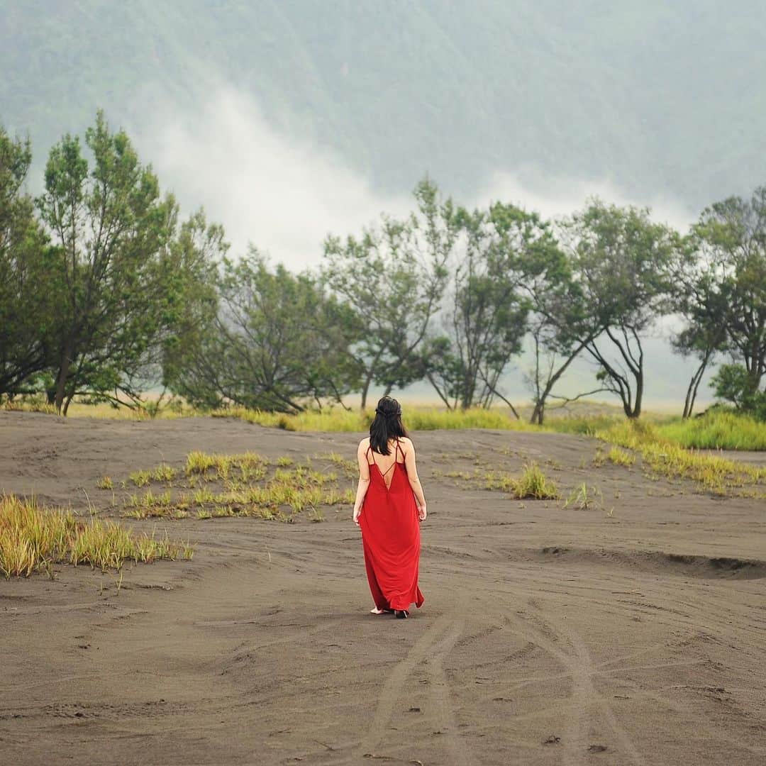 エアアジアさんのインスタグラム写真 - (エアアジアInstagram)「This is us trying not to miss traveling, but failed. It’s not a folklore when we say you can now paint the skies red again.  #flashbackfriday to some of our favorite out in the woods trips of our Allstars and friends around Asia.🌴❤️✈️  #AirAsia #Folklore」7月24日 21時41分 - airasiasuperapp