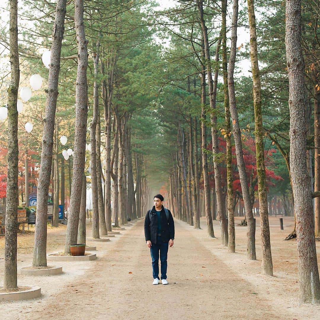 エアアジアさんのインスタグラム写真 - (エアアジアInstagram)「This is us trying not to miss traveling, but failed. It’s not a folklore when we say you can now paint the skies red again.  #flashbackfriday to some of our favorite out in the woods trips of our Allstars and friends around Asia.🌴❤️✈️  #AirAsia #Folklore」7月24日 21時41分 - airasiasuperapp