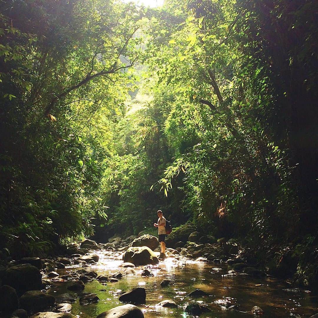 エアアジアさんのインスタグラム写真 - (エアアジアInstagram)「This is us trying not to miss traveling, but failed. It’s not a folklore when we say you can now paint the skies red again.  #flashbackfriday to some of our favorite out in the woods trips of our Allstars and friends around Asia.🌴❤️✈️  #AirAsia #Folklore」7月24日 21時41分 - airasiasuperapp