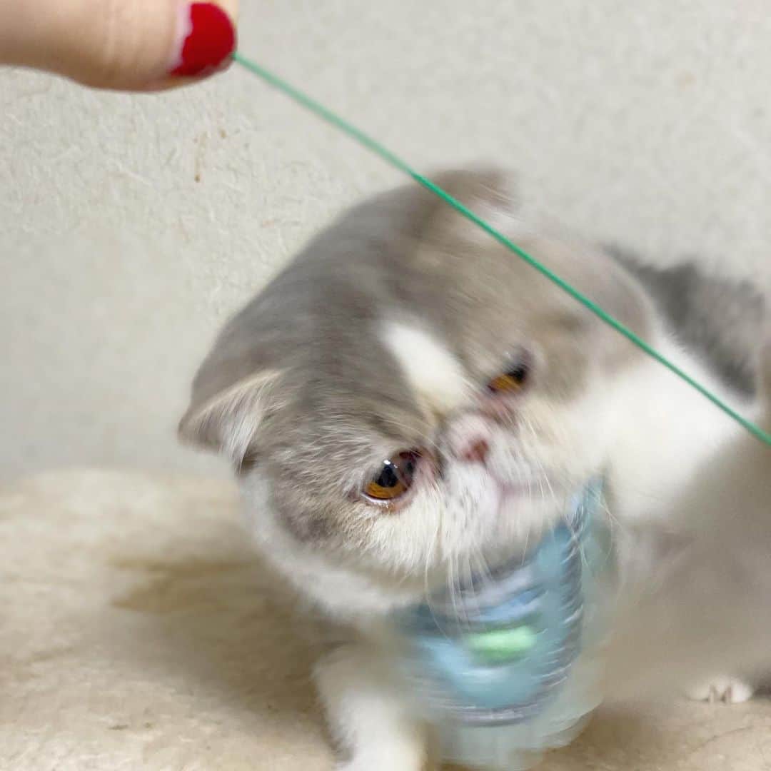 and myuのインスタグラム