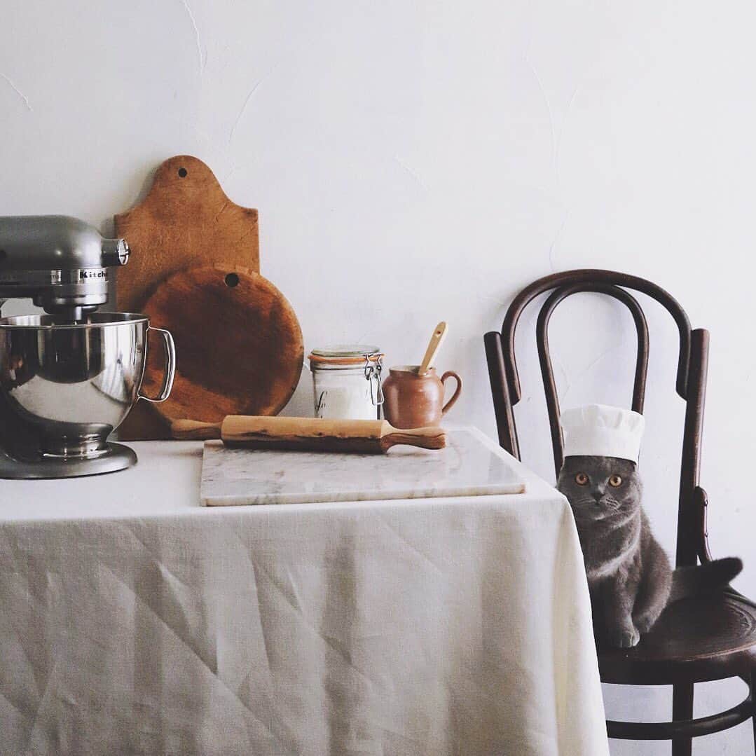 のインスタグラム：「Stay home . この４連休は 自宅でずっと 仕事してます。 . とりあえずの お気に入りの ボナさん写真。 . . #stayhome #ステイホーム」
