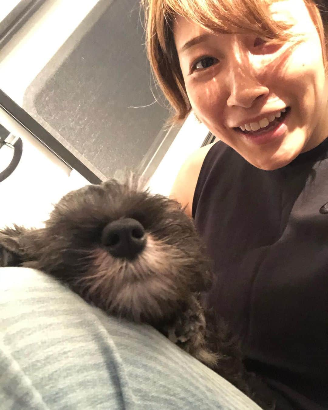 狩野舞子さんのインスタグラム写真 - (狩野舞子Instagram)「・ いや顔に気をつけて？w ・ 飼い主に似てふてぶてしい顔&態度だったけど、ちゃーんと寝心地のいい場所見つけて寝ちゃうもんなぁ☺️ 可愛いなぁ☺️💕 ・ 人間も動物も赤ちゃん最強説🥺💪 ・ #ミニチュアシュナウザー #パピー #赤ちゃんの匂い #肉球 #お腹 #そっぽ向いてるのもご愛嬌」7月24日 21時50分 - kanochan715