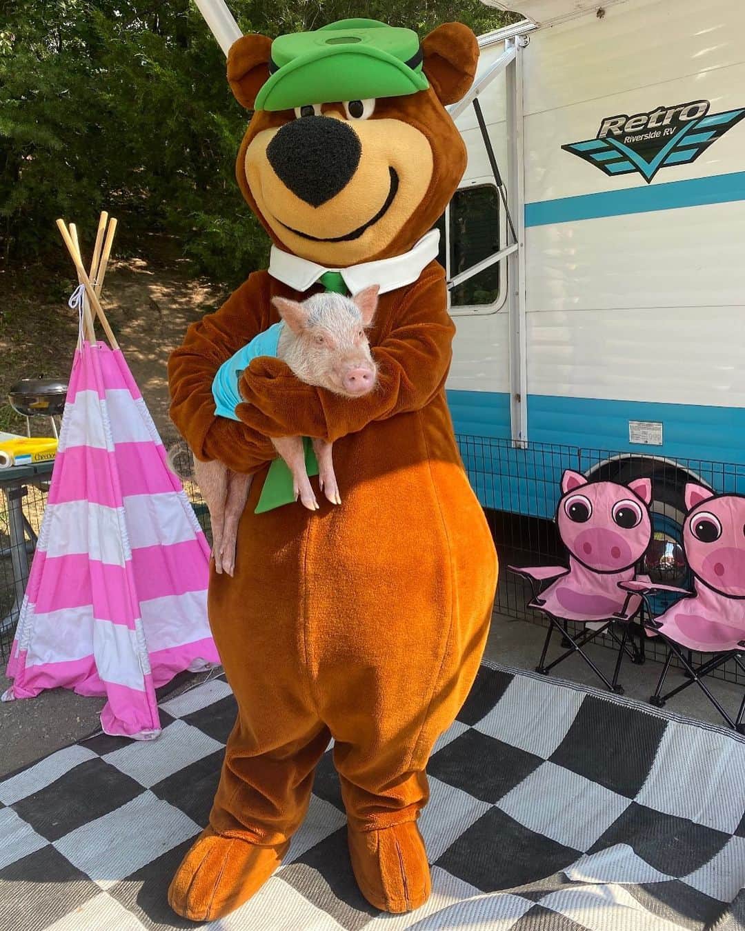 Priscilla and Poppletonさんのインスタグラム写真 - (Priscilla and PoppletonInstagram)「SQUEAL!! Look who came to visit us at our campsite? We had so much fun camping with Yogi Bear @pigeonforgejellystone this past week! The staff and guests were so nice and our campsite was close to the pool, pond and playground. There was plenty to do here, but if we wanted to venture out we were right down the road from all the major tourist attractions in Pigeon Forge. ThOINKs for being so hospigable Yogi. We will definitely be back!🐷💗🐻#yogibearjellystonepark #happycamper #PiggyPenn #PrissyandPop」7月24日 23時14分 - prissy_pig