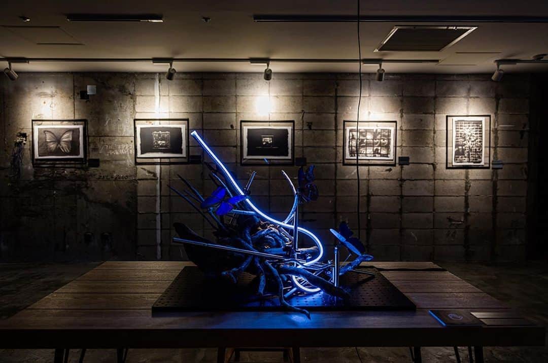 落合陽一のインスタグラム：「#reminiscence_of_the_unknown #未知への追憶 #落合陽一 #落合陽一個展 #yoichiochiai #nofilter」