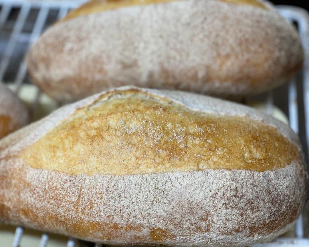 魔女菅原のグルメインスタ