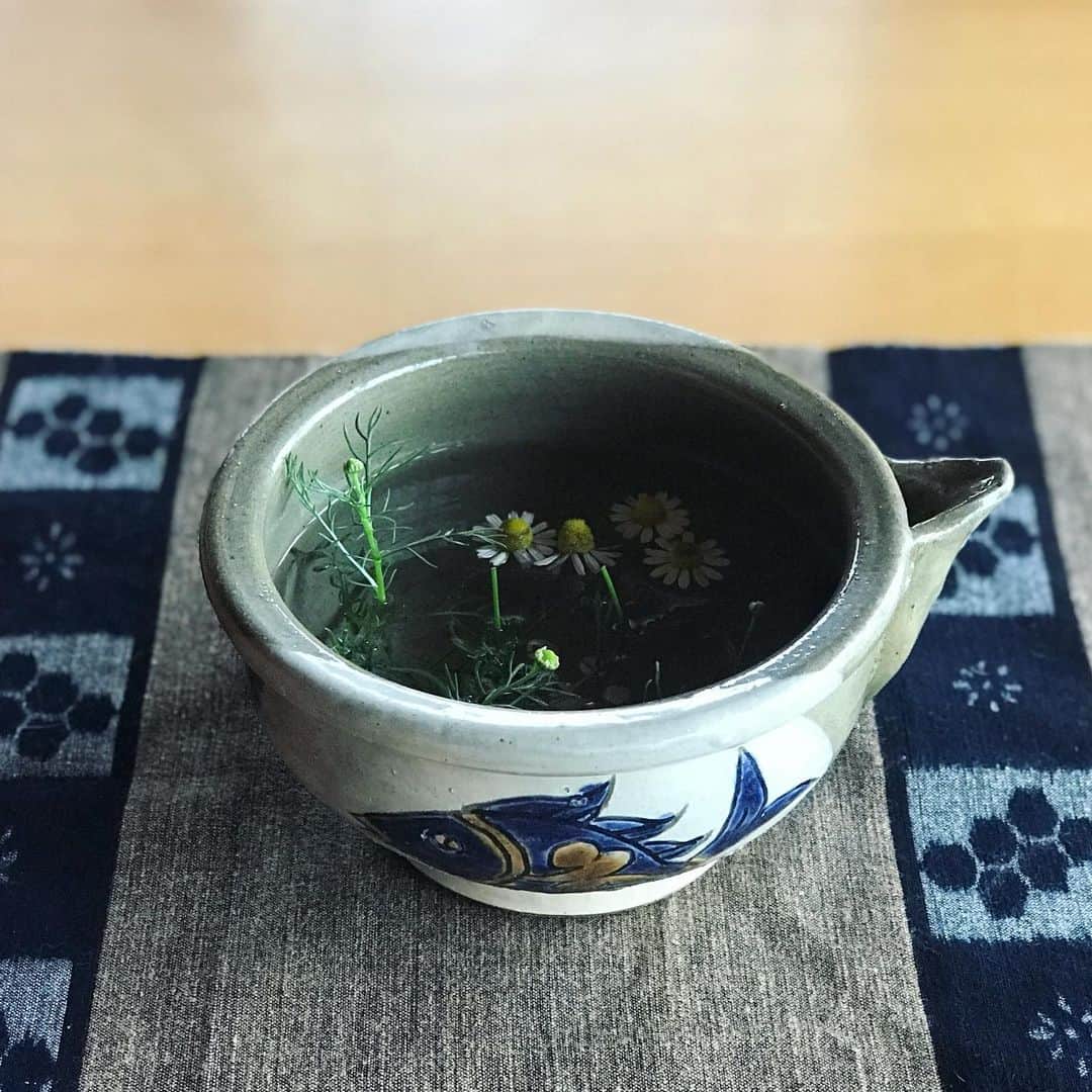 澤田泉美さんのインスタグラム写真 - (澤田泉美Instagram)「今週のお花ちゃん🌼 庭に咲いたカモミールを摘んで水に浮かせてみたの^ ^ まだ咲いていない蕾は、なんと不思議👀 水から顔を出すように伸びてきたよ🌱  生きる力。すごいね。  #カモミール#chamomile #日々勉強#だね #三人のママ」7月25日 9時49分 - izumi.sawada