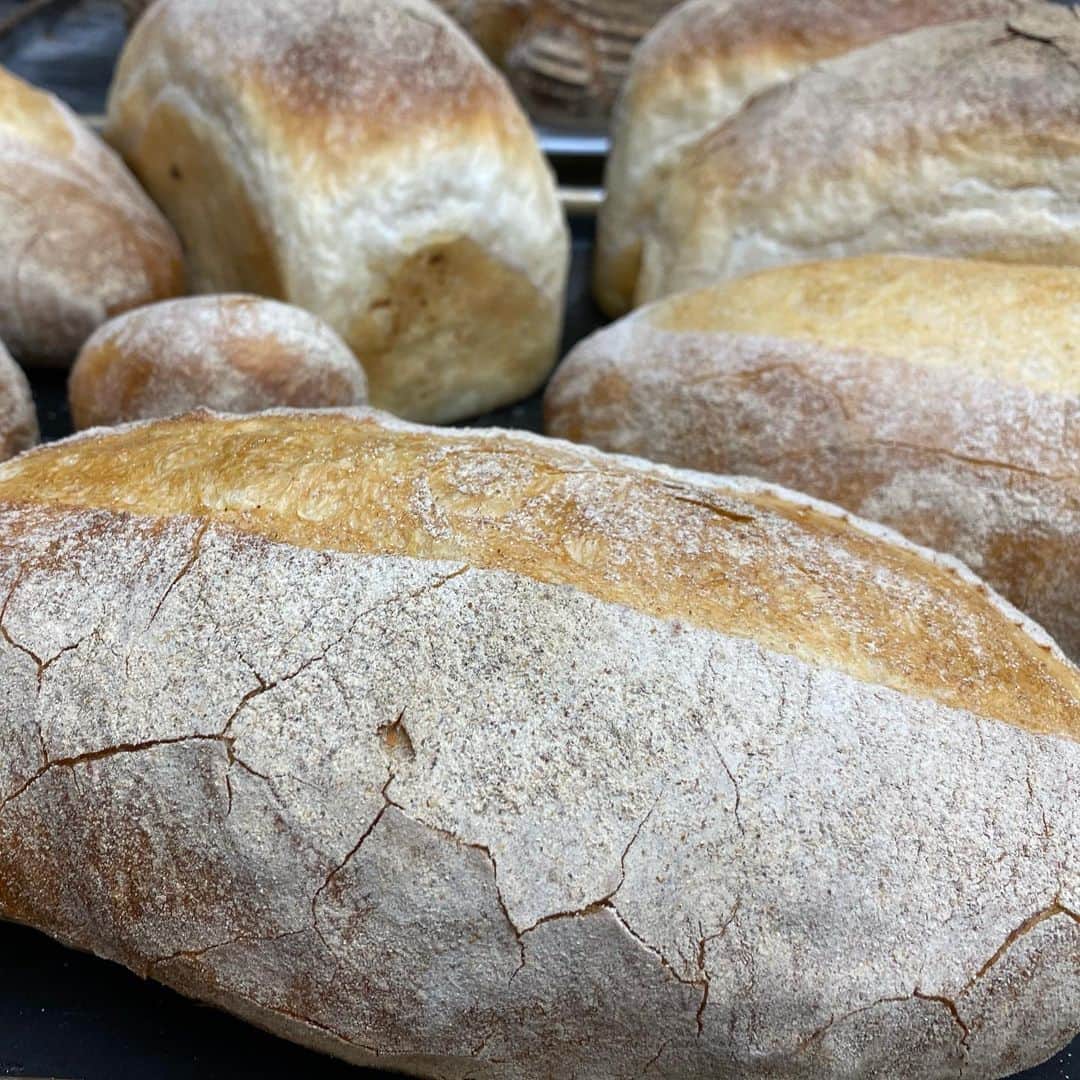 魔女菅原のグルメインスタ