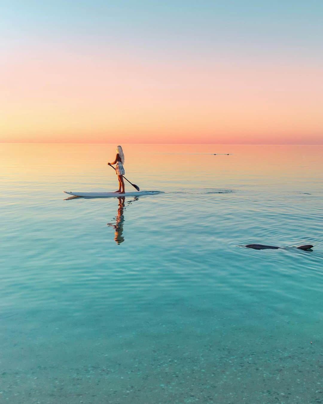 さんのインスタグラム写真 - (Instagram)「It’s the weekend which means paddling on the river hopefully with dolphins 🐬 slowing down and watching sunsets with the family 🌅   I hope wherever you are in the world you’re doing ok and that you’re able to get out in nature for a little while. My heart goes out to my fellow Victorians in lockdown, my dearest friends and family, I’m thinking of you all and sending love 🧡  📸 @bobbybense  #standuppaddle #standuppaddleboarding #supping #sup #dolphins #dolphin #seeaustralia #australia #sunset #GLLSunsets #monkeymia #discoversharkbay #travelcommunity #beachesnresorts #wonderful_places #beautifuldestinations #westernaustralia」7月25日 10時12分 - helen_jannesonbense