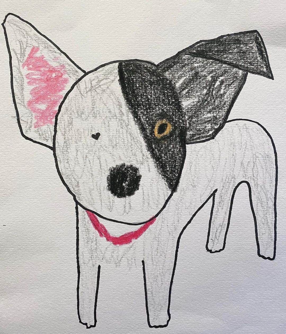 マンディクーンのインスタグラム：「Our one-eyed wonder girl, Sammy, perfectly captured by @neversleepsnyc.  🌟💕🐶💘✨」