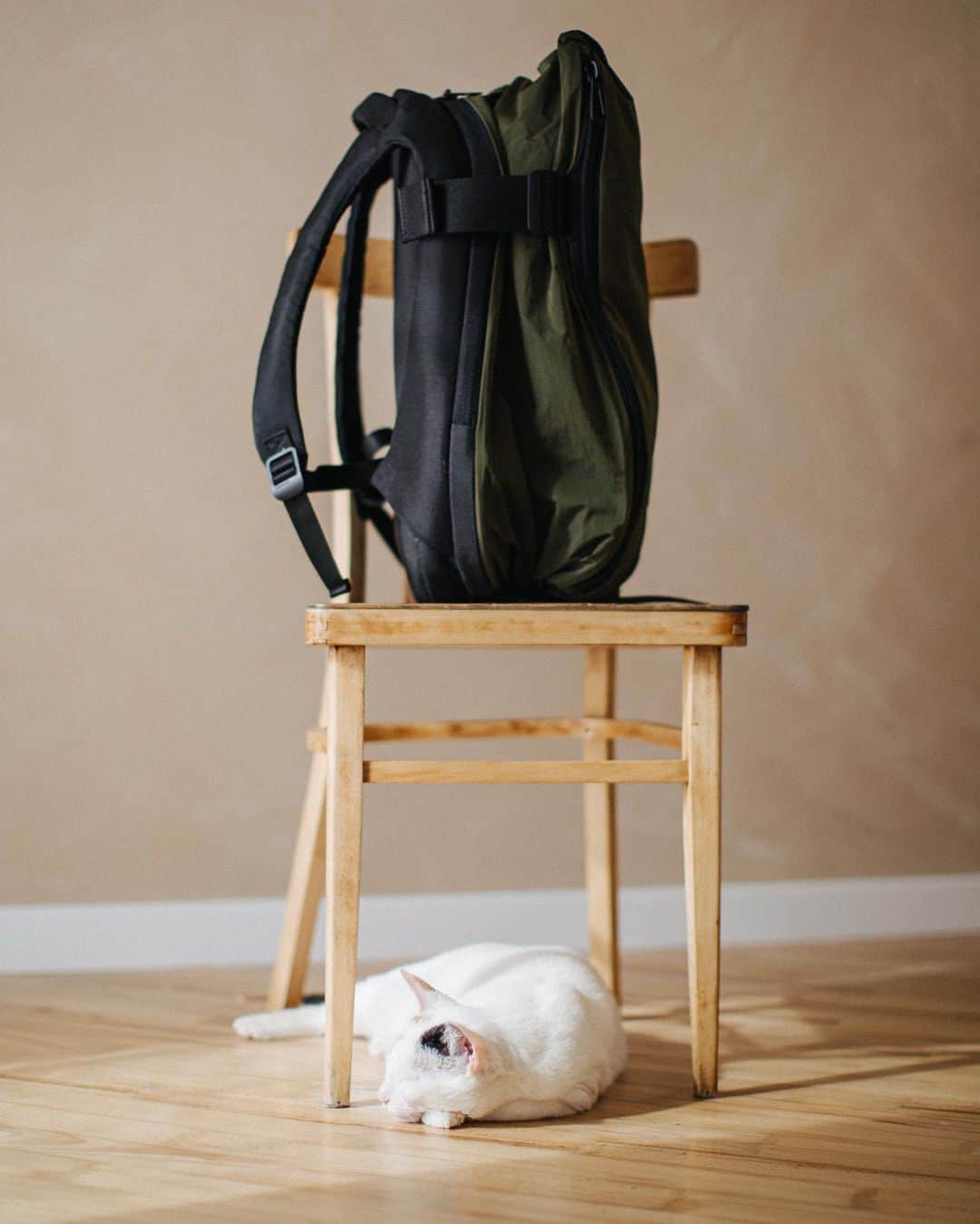 のインスタグラム：「Home is where your cat (and bag) is 🏡 Featuring ISAR M in Olive Green - now on sale. . . . . #coteetciel #bagsofinstagram #bagsonline #manaccesories #unisexaccessories #unisexstyle #unisexfashion #accessory #detailsareeverything #detailsoftheday #bagslover #bagsholic #bagslovers #bagscollection #ootdinspo #accessorise #backpacker_pics #visualtraveller #bagstagram #designerbags #catsofinsta #catsofworld #catsoftheworld #catsofinstagram #catsoftheweek #catsagram #catsgram #catslover #catsdaily #cats_of_the_world」