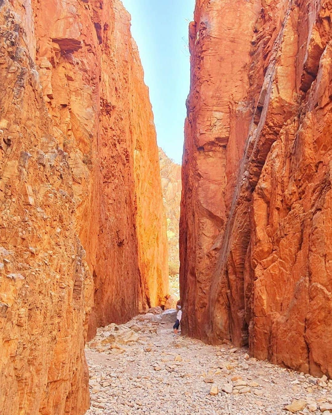 Australiaさんのインスタグラム写真 - (AustraliaInstagram)「Putting things into perspective at the #StandleyChasm in @ntaustralia! @phoebewilcox captured this fascinating formation, known traditionally as Angkerle Atwatye, that towers 80 metres above the ground and is surrounded by the magnificent West MacDonnell Ranges National Park within a private reserve owned and operated by the local Arrernte community. Located less than an hour's drive from the outback town of #AliceSprings, this remarkable spot can be accessed by a sealed road which makes for an easy day trip. Take in its natural beauty at your own pace on a 30-minute self-guided trail, but be sure to wear sensible walking shoes and pack plenty of water for your trip! #seeaustralia #NTaustralia」7月25日 5時00分 - australia