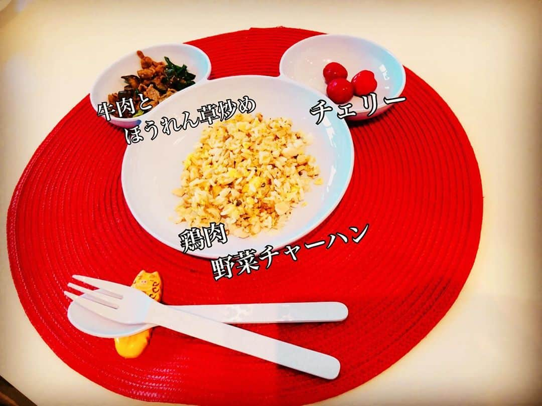 平愛梨さんのインスタグラム写真 - (平愛梨Instagram)「バンビーノごはん🍚  トルコに売ってるお野菜は芯がしっかりしていてキャベツやピーマン、長ネギは1度炒めるだけでは中々しんなりしなくて1度茹でてから炒めたり工夫しなきゃならなかった😢  口に含んで固さや味を確認して食べる子😅  いつも「食べてくれますように」と念じながら作ってた🤨  野菜嫌いだけどご飯に混ぜるとモクモク食べる😅 #バンビーノ#2歳#ごはん#愛梨のトルコ日記#ごはん記録#平飯」7月25日 5時28分 - harikiri_tairi