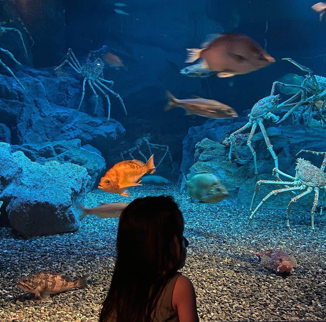 美生のインスタグラム：「🐠🦀🐚﻿ ﻿ ﻿ 海遊館楽しかった♡﻿ ﻿ 事前予約制で待ち時間もなくスムーズに♡﻿ ﻿ 長女は大興奮で﻿ 次女は怖かったみたいで終始抱っこ🙃﻿ ﻿ 👩🏻なにが1番可愛かった〜？﻿ 👧🏻ペンギンとカニ﻿ 🧒🏻サメさん(そこ1番泣いてたで😮)﻿ 👧🏻ライオンとゾウさんがいなかった﻿ ﻿ なんてことない寝る前のガールズトークに﻿ 毎晩私が寝かしつけられてる👩🏻﻿ ﻿」