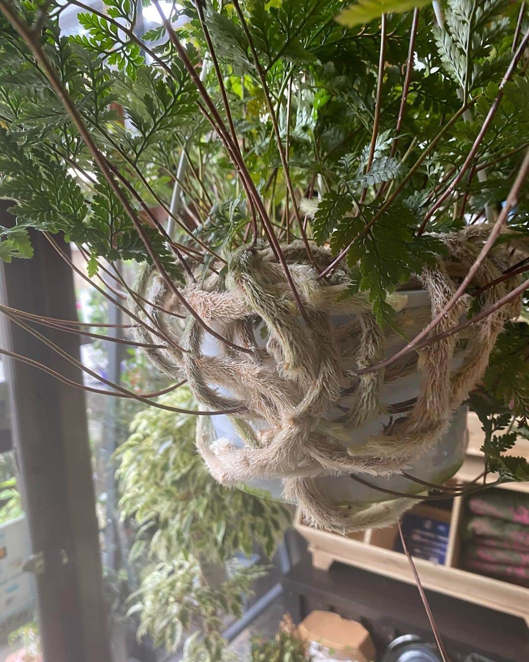 MILLE ECLAT.のグルメインスタ