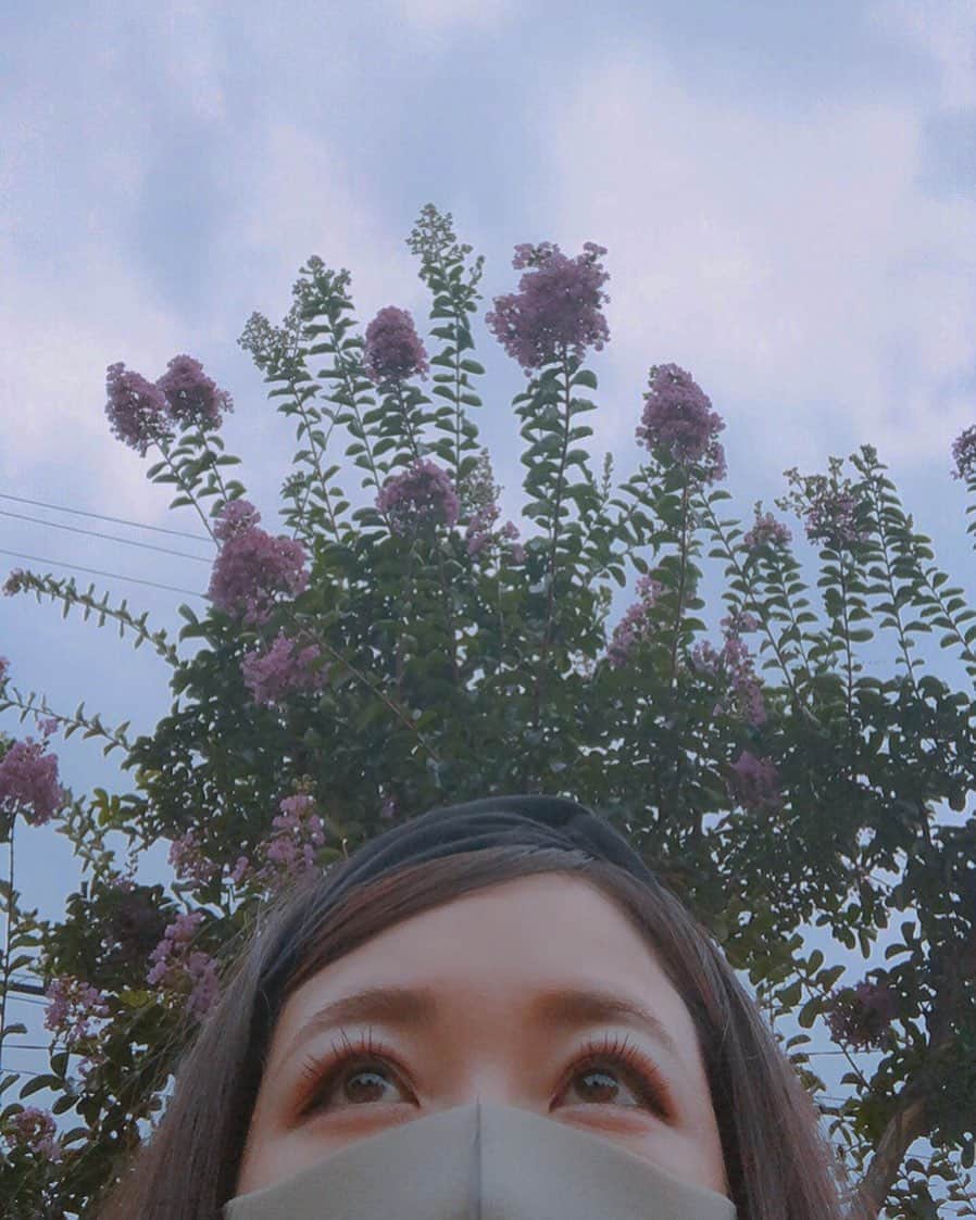 崎本ゆかりのインスタグラム：「.☁️ 元気に走り回る子供たちの めちゃめちゃくだらない会話を聞いて 思わず声を出して笑ってしまった日。 オラが！！オラも！！オラの！！って クレヨンしんちゃんいっぱいいた！笑 かわいいなぁ…♡ ありがとう。おばちゃんHappyなったわ🍀  さぁ、今日も頑張ろう！ . . #happy#dayoff#thanks#memories #公園#少年たち 全員#クレヨンしんちゃん#かわいい#ありがとう#ひょっこり#😷#🖍」