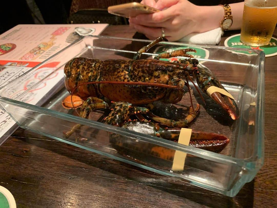 hiroroさんのインスタグラム写真 - (hiroroInstagram)「伊勢エビ旨し🦞 #伊勢エビ #伊勢海老 #海鮮  #副業 #脱サラ #FX #自動売買 #EA #お小遣い稼ぎ #バイナリー #バイナリーオプション #BO #物販 #転売 #貯金 #在宅ワーク #投資 #投資家 #仮想通貨 #暗号通貨#follow4follow #followme #follow #l4l  #instagood #instadiary #instalike  #instamood #instalove #instafollowsky」7月25日 19時40分 - h_hiroro999