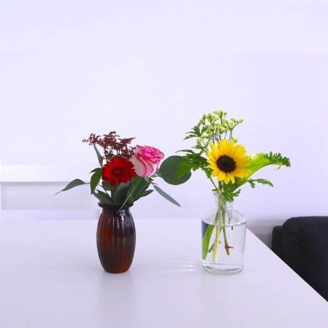 柴犬Mamesuke・Korosuke??大阪さんのインスタグラム写真 - (柴犬Mamesuke・Korosuke??大阪Instagram)「🐱🐻 🐾----*----*----*----*🐾 今週のお花を紹介するワン🌷 🌼カーネーション 🌼スターチス 🌼アルテルナンセラ ・ ワンコインで始められるお花の定期便💐 ・ 初回のお花お届けが無料になるクーポンがあるので是非お使い下さい😊 ■クーポンコード：mamesuke ■有効期限：2020年7月31日 ・ そしてなんと❗️ このクーポンコードを使ってお花を購入いただいた方に抽選で4名様に素敵な花瓶のプレゼントがあるそうです🎁 ・ ■景品＆当選者連絡について ・プレゼントされる花瓶は、スワイプして3枚目の画像2種類のうちいずれかをお届け💐 　→どちらが当たるかはランダムとなりますので、届くまでのお楽しみとなります✨ ・当選者の方には、ご登録の際に入力いただいたメールアドレスに【8/3(月)】に当選連絡メールをお送りいたします。 #bloomeelife @bloomeelife 🐾----*----*----*----*🐾 #MameKoro #豆コロ #豆柴 #柴犬 #赤柴 #豆介 #コロ介 #shibagram #shibastagram #shibainu #shiba #shibadog #🐕📷 #いぬのきもち」7月25日 19時44分 - mame_suke_i